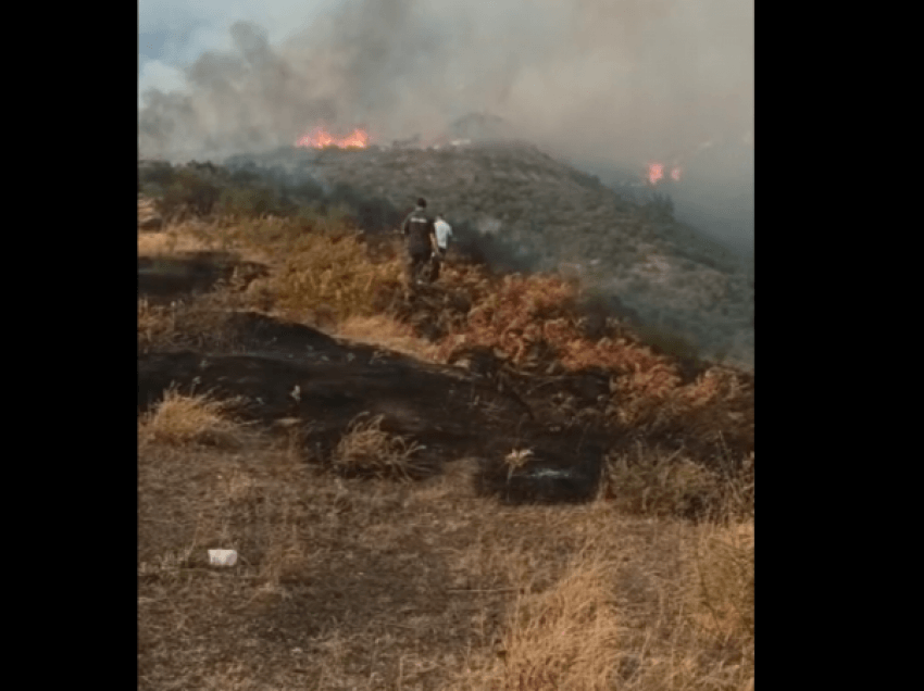 Shuhen zjarret në Gjirokastër, flakët lënë pas 45 ha tokë të djegur, pemë frutore dhe vreshta