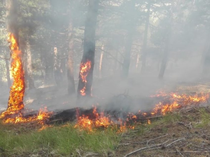 Disa vatra të zjarrit mbeten ende aktive në rajonin e Kumanovës