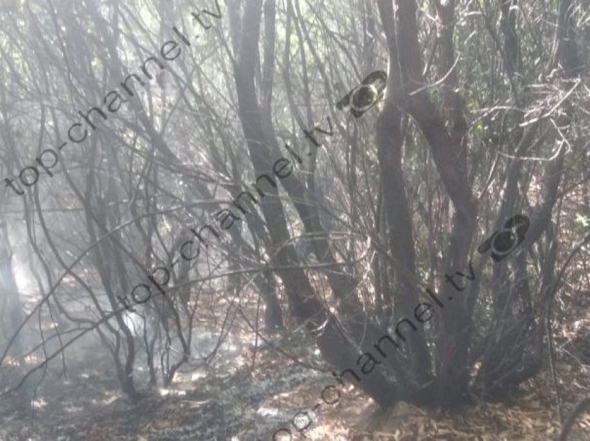 Shfaqen vatra zjarri në fshatrat e thellë të Mallakastrës, terreni i vështirë për ndërhyrjen e zjarrfikësve