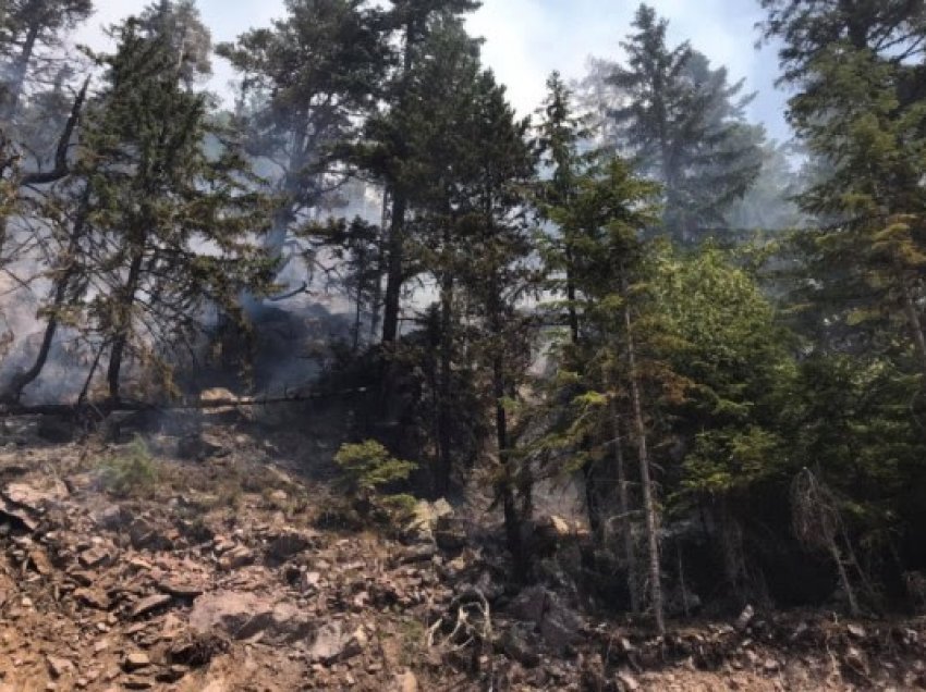 ​Erërat rendojnë situatën me zjarret në Bjeshkët e Nemuna, evakuohen tri familje në Shtupeq