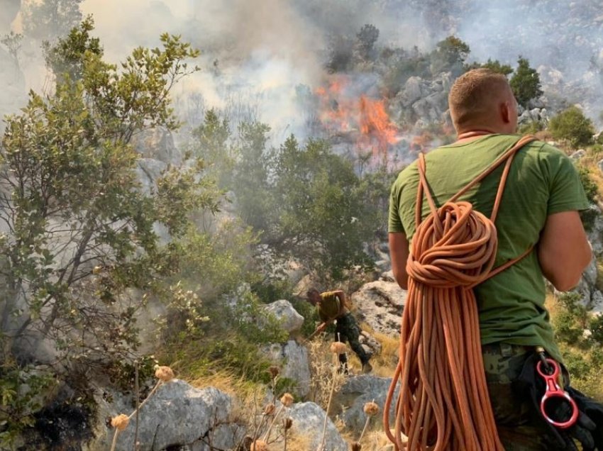 Peleshi për zjarret: Autoritetet po punojnë për të kontrolluar të gjitha vatrat