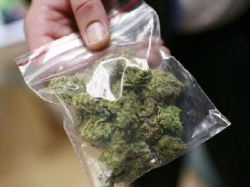 Policia i gjen 40 kg marihuanë, arrestohet shpërndarësi i drogës në Gostivar