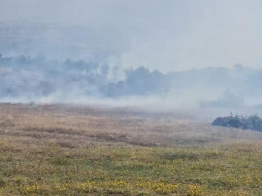 Situatë më e qetë nga zjarret në Shqipëri, dy vatra kritike, 8 janë nën monitorim