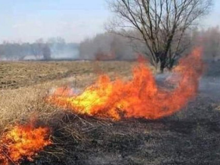 Sipas Agjencisë së Menaxhimit Emergjent kjo është gjendja e zjarreve nëpër Kosovë 