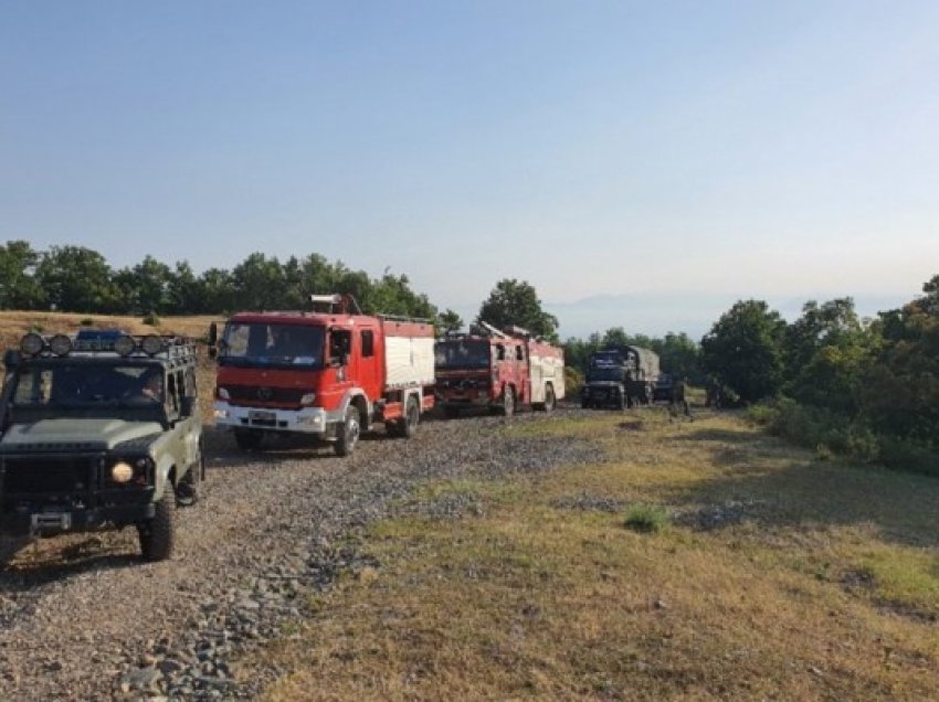 ​FSK në Shqipëri, operacion në zonën e Kalimashit dhe fshatin Shënmëri
