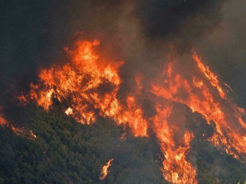 Greqia bën bilancin e zjarreve, rreth 900 mijë hektarë tokë janë bërë shkrumb e hi