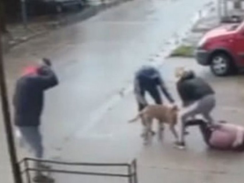 Qeni “pitbull” kafshon një person, dënohet me 500 euro gjobë pronari i qenit