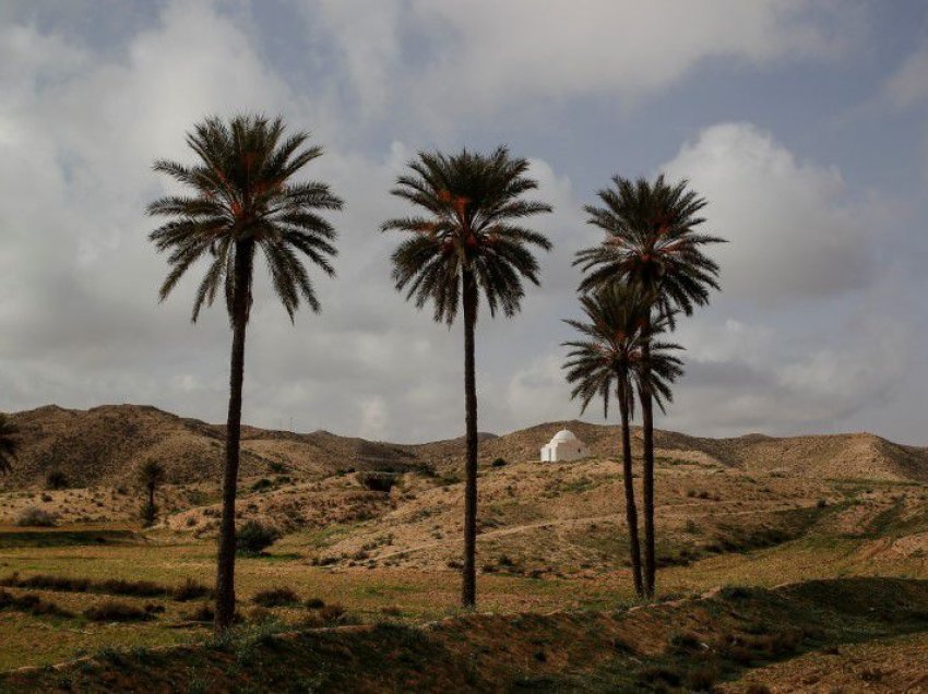 Tunizia arrin rekord me 49 gradë Celsius