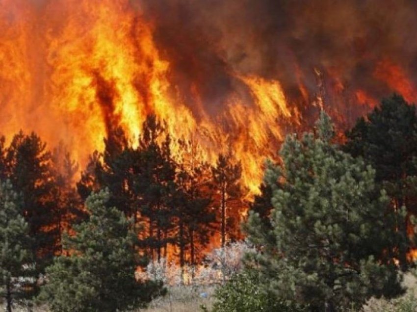 Situata e zjarreve në vend, Ministria e Mbrojtjes raporton vatrat aktive