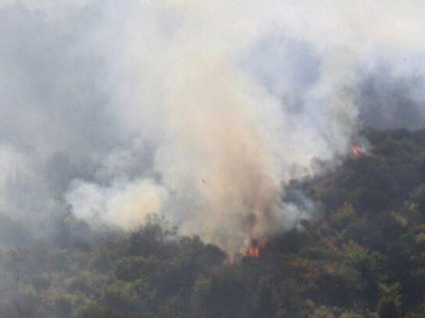 Në Shqipëri gjashtë vatra zjarri