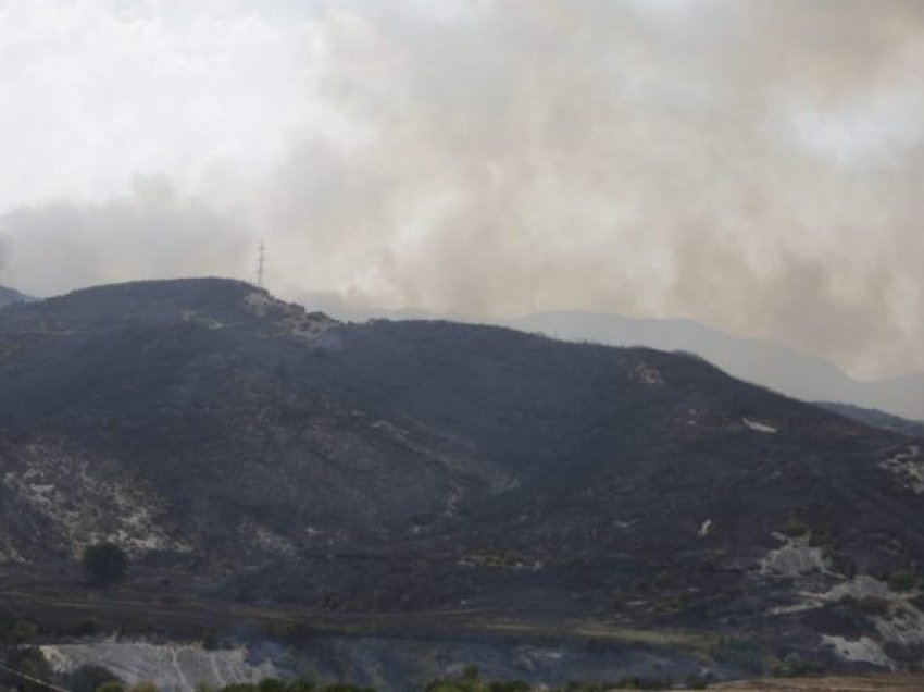 Izolohen zjarret në Korçë, në Kolonjë 25 ha pyje të shkrumbuara