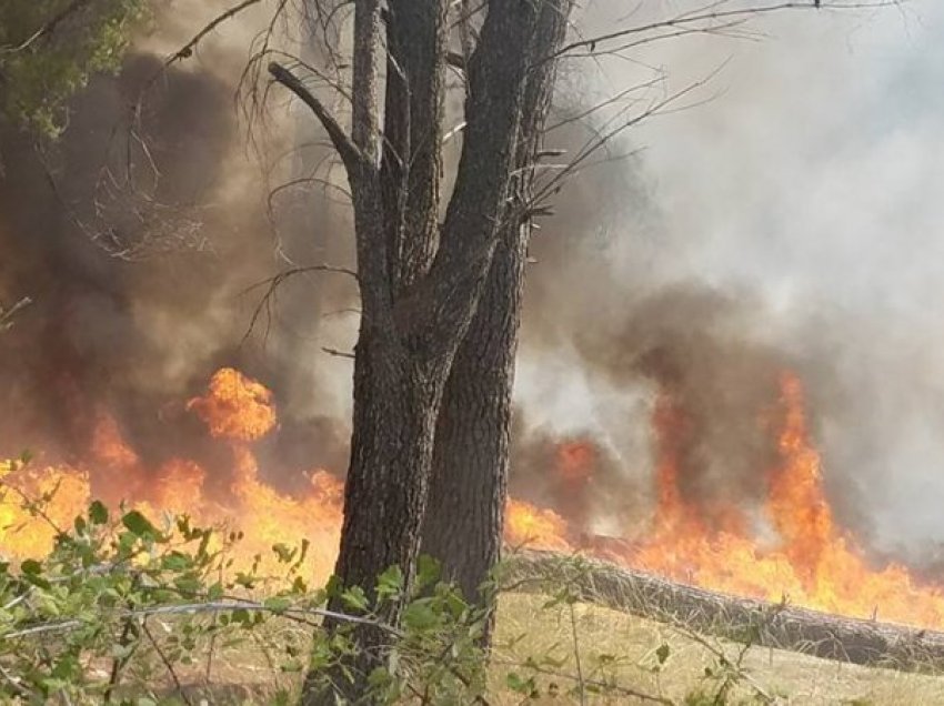 Vazhdon puna për shuarjen e 10 vatrave të zjarreve në Shqipëri