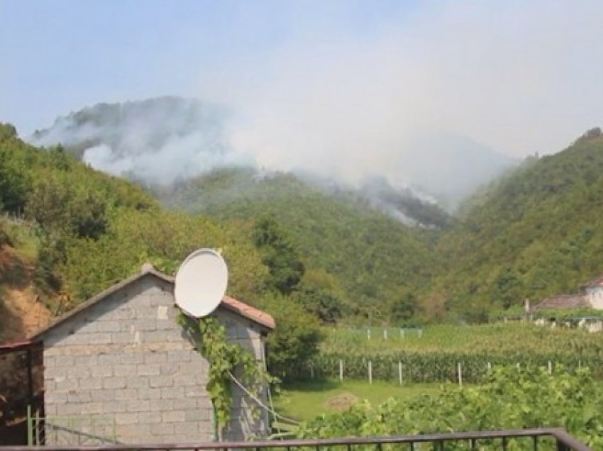 ​Zjarret në Shqipëri, vatra aktive djegin pyjet në veri