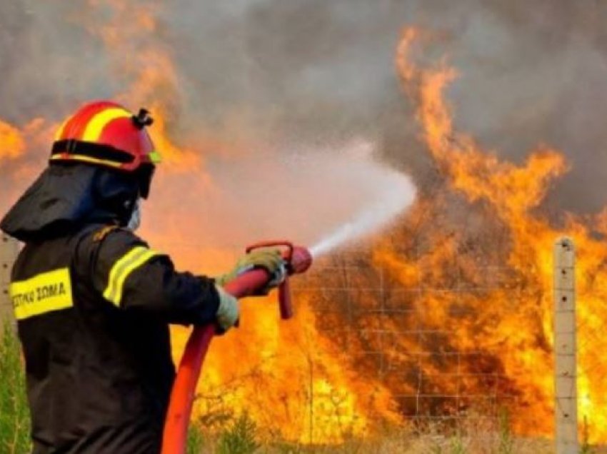 42 zjarre në 24 orë përfshinë sipërfaqe pyjore në Greqi
