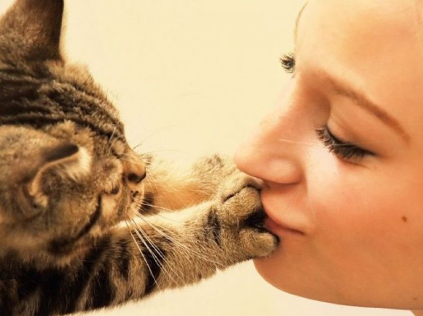 Si e tregojnë macet dashurinë?