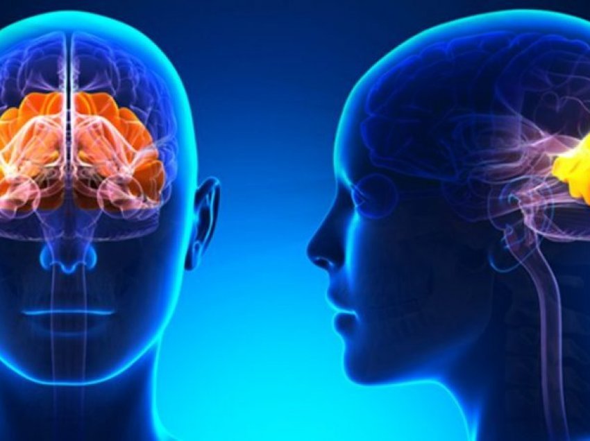 Plakja e trurit, sëmundja që po prek moshat e reja – Shkaqet dhe simptomat si dallohet