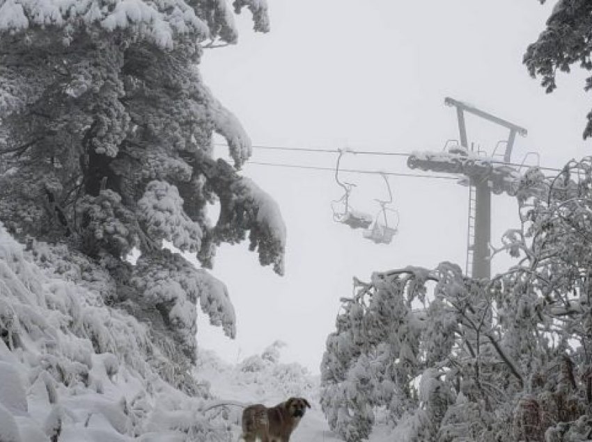 Turistët mahnitën nga bora në Brezovicë