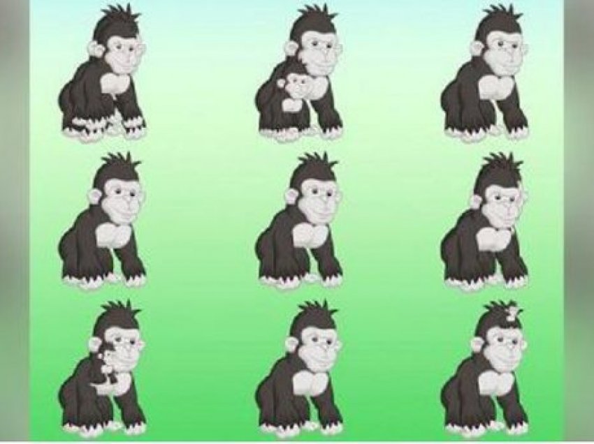 Testi vizual që tregon sa mirë shihni: Sa gorilla shihni në foto?