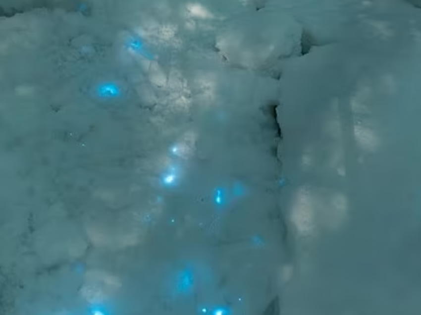 Pamjet mahnitëse tregojnë borën me drita blu në Rusi