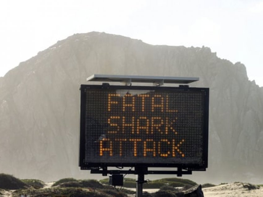 Zyrtarët e Kalifornisë mbyllin plazhet pasi një njeri vdiq nga sulmi i peshkaqenit