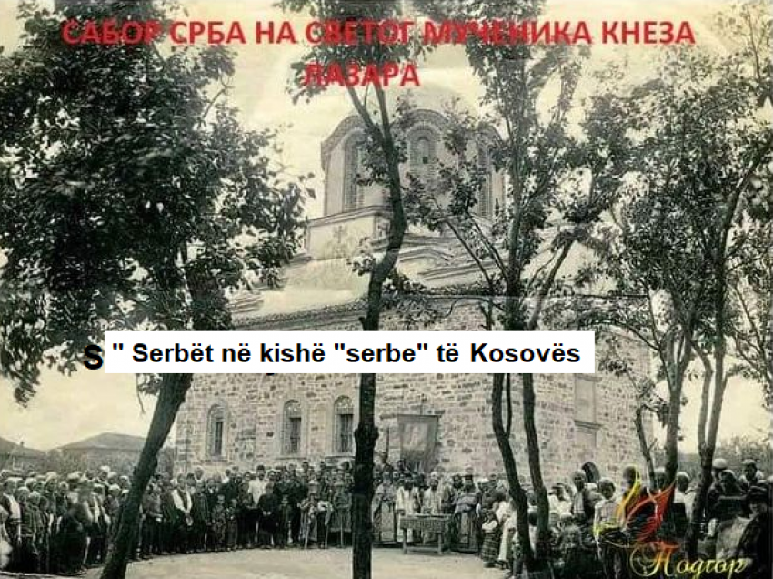 Serbët janë çmendur, edhe plisi dhe tirqit  “qenkan” të tyre!