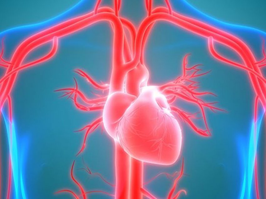 Holluesit e gjakut/ Gjithçka natyrale për shëndetin e zemrës
