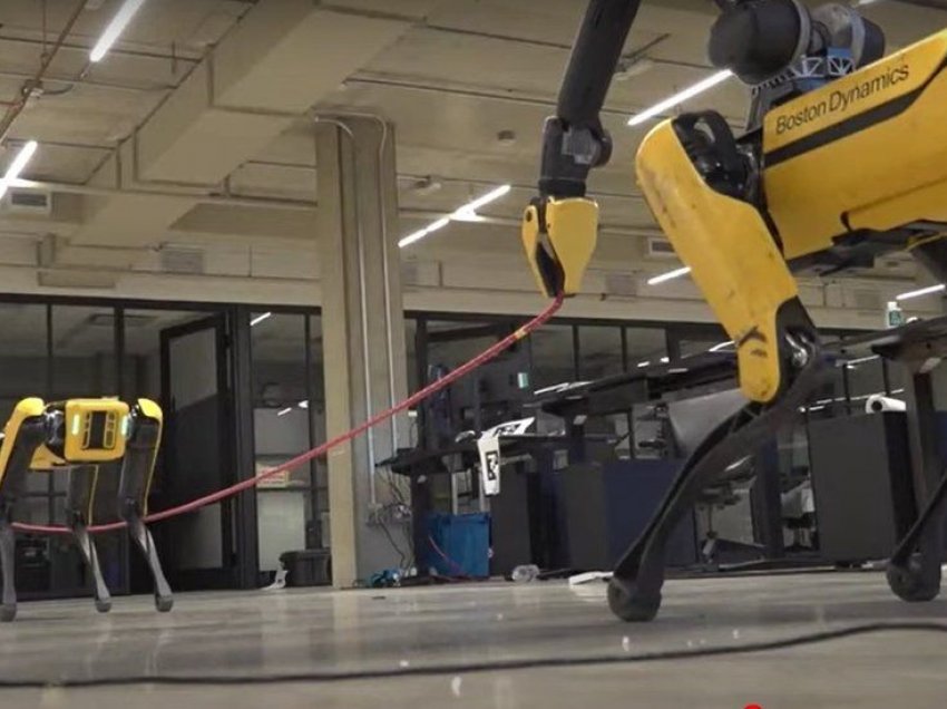 Qeni robot “Boston Dynamics Spot” kontrollohet me telekomandë në distanca të largët 