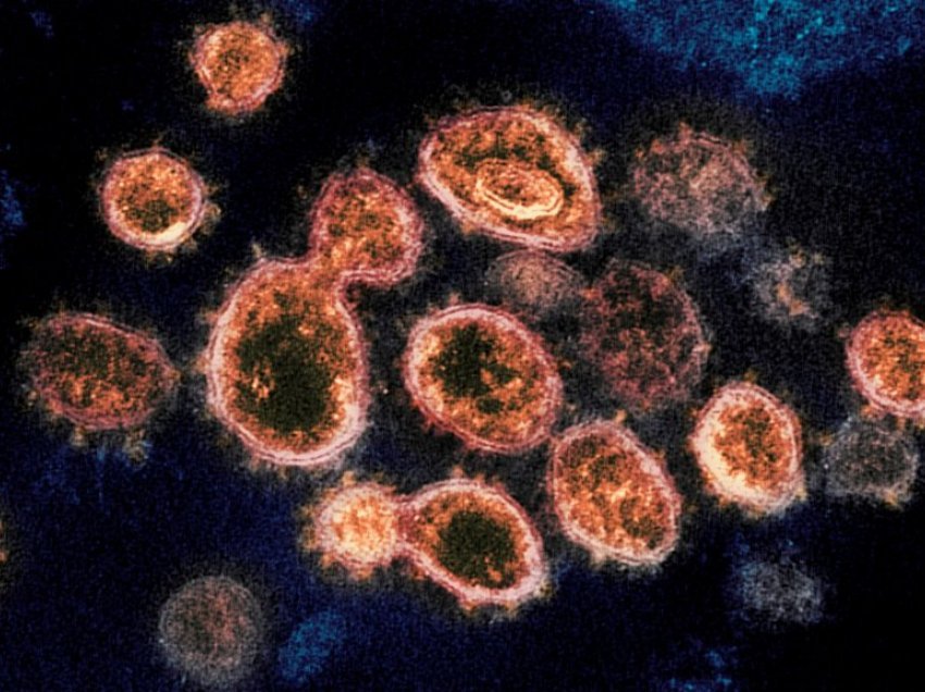 Antitrupat zgjasin gjashtë muaj pas infektimit me koronavirus