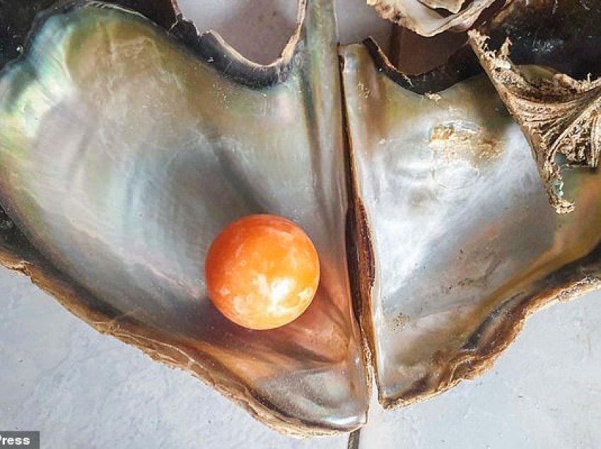 Peshkatari tajlandez që gjeti perlën portokalli me vlerë thuajse $350,000, është arrestuar
