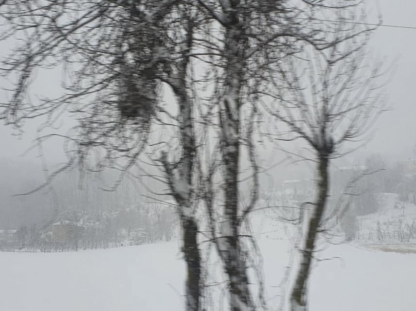 Mbi 1 metër borë në Kala të Dodës, banorët apel për ndihmë: Po na mbarohet baza ushqimore