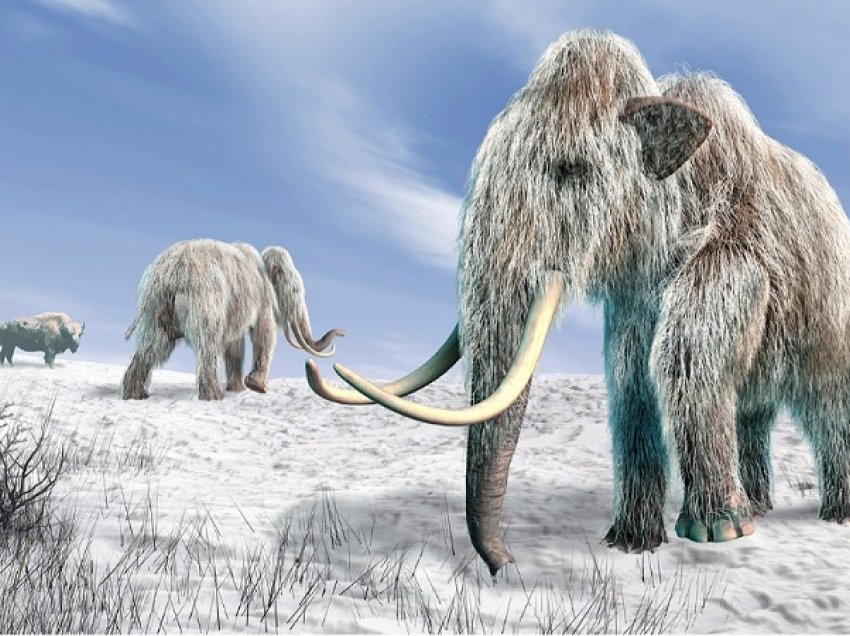 ADN-ja më e vjetër në botë/ Gjendet në dhëmbët e një mamuthi që jetoi mbi 1 milion vjet më parë