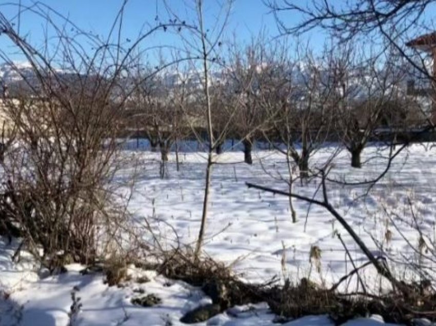 Mungesa e çertifikatës së pronësisë, 1 mijë fermerë në Korçë nuk përfitojnë dot naftën pa akcizë