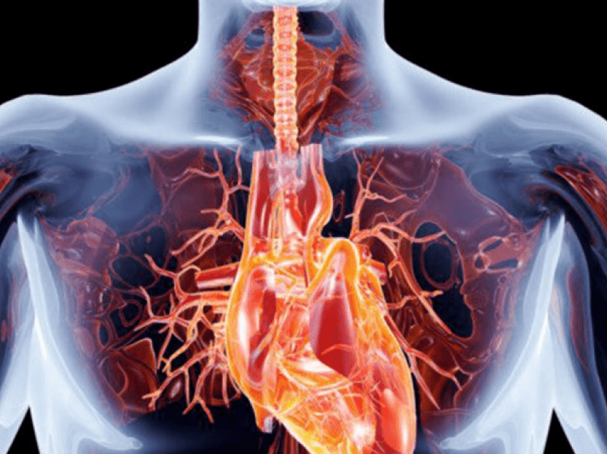 Ndikimi i ajrit të ndotur në shëndetin e zemrës