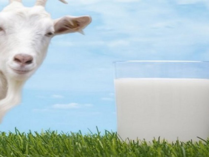 Pse duhet rregullisht ta konsumojmë qumështin e dhisë?