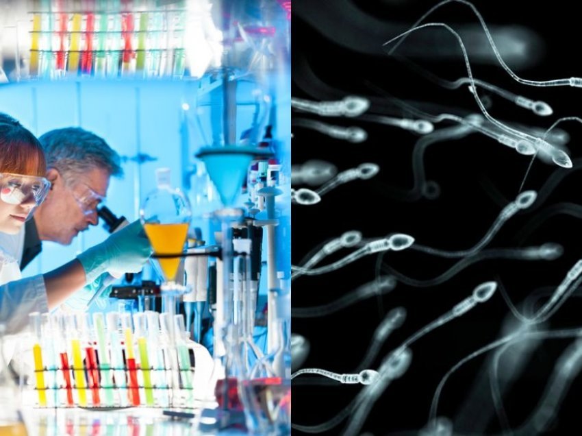 Ekspertët ngrejnë alarmin: Numri i spermatozoideve po kërcënojnë mbijetesën njerëzore