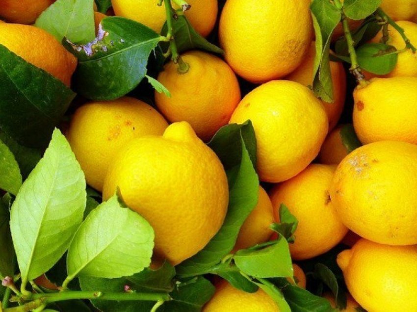 Gjethet kurative të limonit
