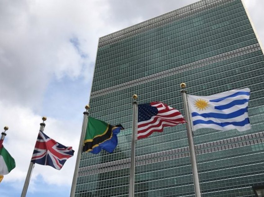 Një diplomate e Maqedonisë ka bërë vetëvrasje në OKB