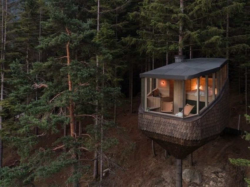 Shtëpiza e drurit, strehë moderne e fshehur në mes të pyllit