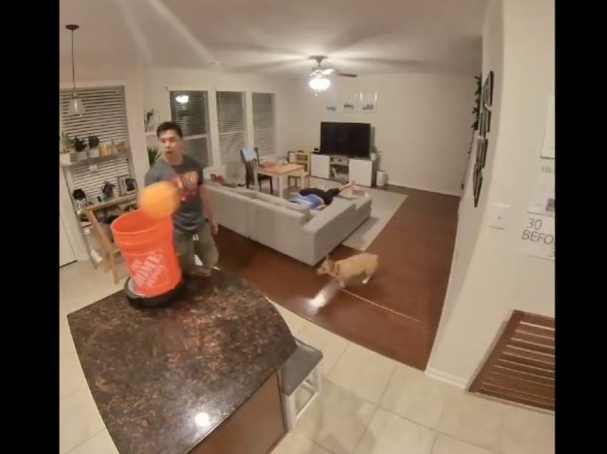 Video e një qeni që godet topin me kokë bëhet virale