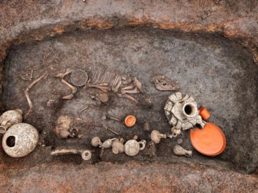 Mbetje 2.000 vjeçare të një fëmije dhe qeni zbulohen në të njëjtin varr në Francë