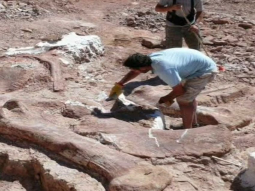 Arkeologët argjentinas zbulojnë fosilet e kafshës më të madhe tokësore të njohur nga shkenca