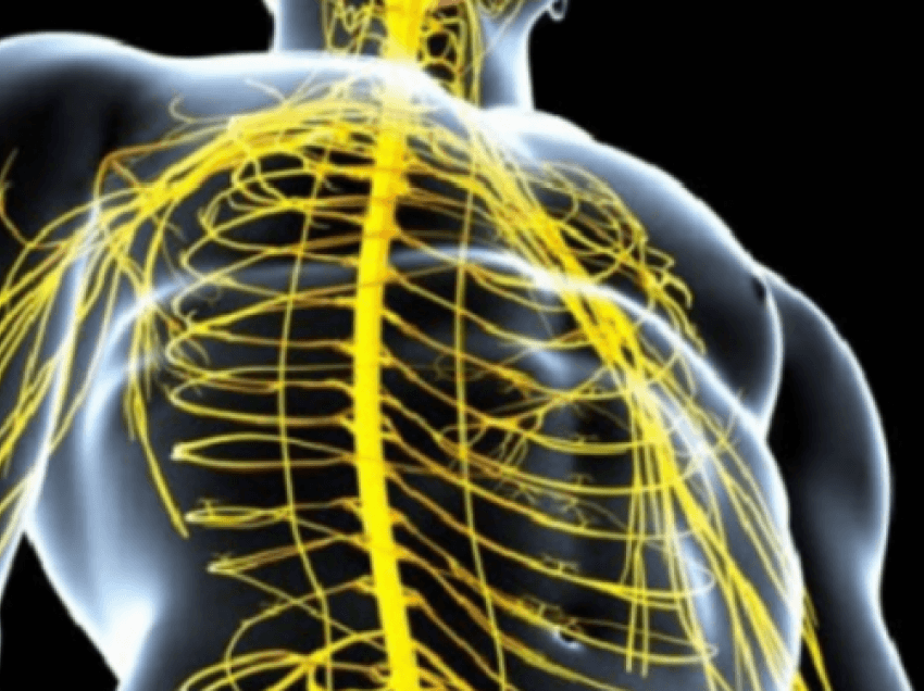 8 shenjat që paralajmërojnë dëmtiminin e nervave