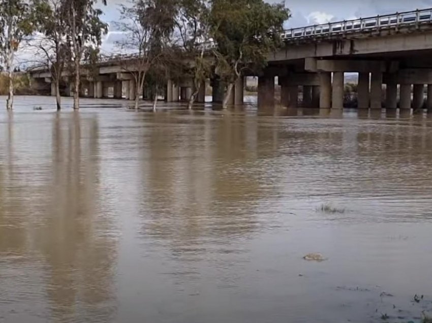 Përmbytje në Fier, uji mbulon tregun e gjësë së gjallë në Mifol
