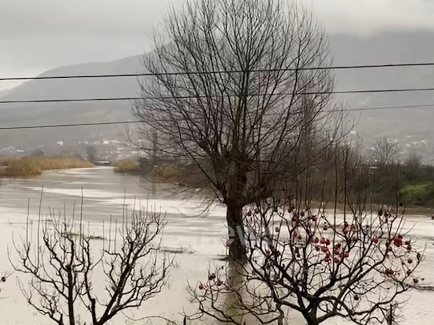 Dhjetra familje të izoluara nga uji në Lezhë, ndërhyrjet që duhet të ishin bërë në verë po kryhen në dimër