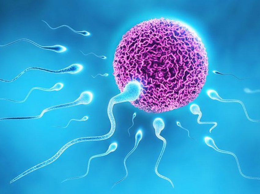 Shkencëtarët flasin për ndikimin e Covid-19 në fertilitetin e meshkujve