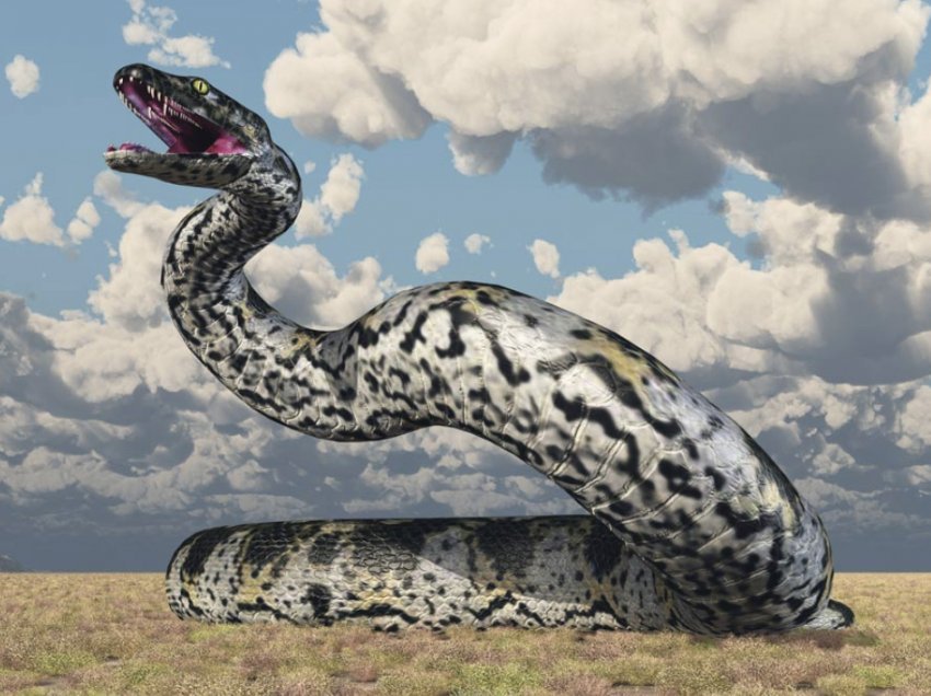 Titanoboa: Gjarpri më i madh në botë, që sundoi Kolumbinë prehistorike