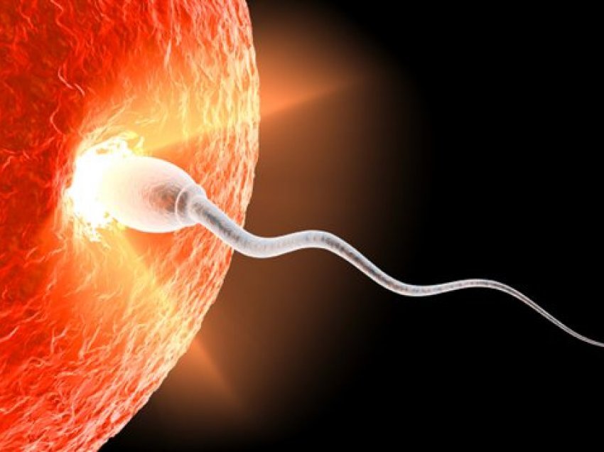Covid-19 mund të ndikojë në numrin dhe shëndetin e spermatozoideve, zbulon studimi i ri