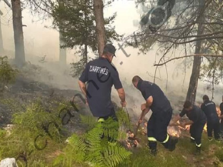 Zjarri vijon të shkatërrojë pemët në Malin e Tomorrit/ Pamjet e zjarrfikësve duke luftuar me flakët