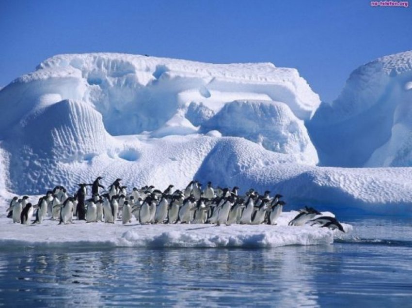 Temperatura rekord në Antarktidë, termometri shënon mbi 18,3 gradë celcius
