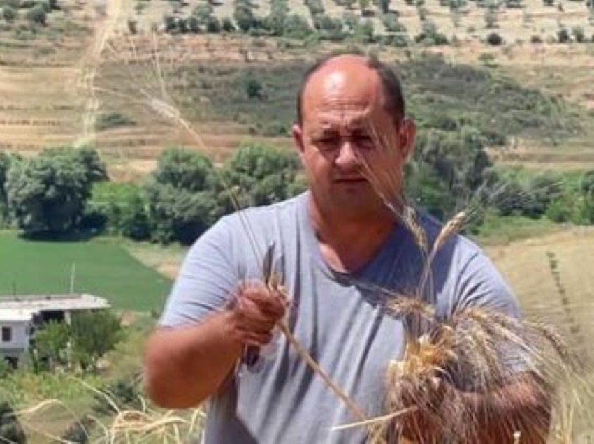 Njihuni me bujkun italian të Vlorës/ Ka marrë 100 hektarë tokë me qira dhe mbjell grurë, elb dhe tërshërë